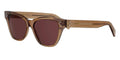 CELINE 3 Dots HD CL40359I 44E
