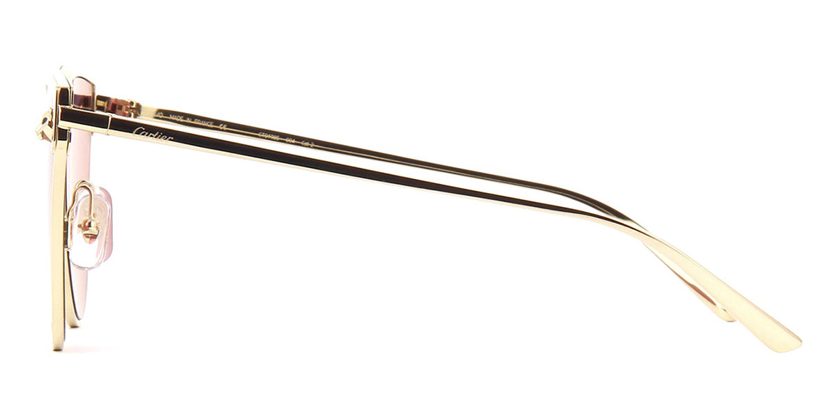 Cartier CT0198S 004
