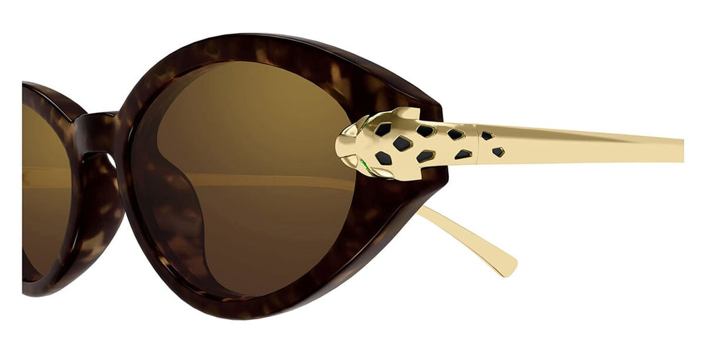 Cartier CT0634S 002