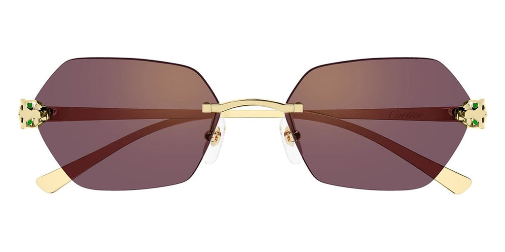 Cartier CT0636S 003