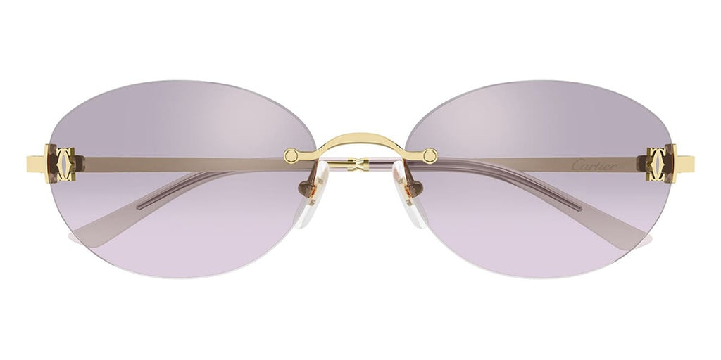 Cartier CT0642SA 003