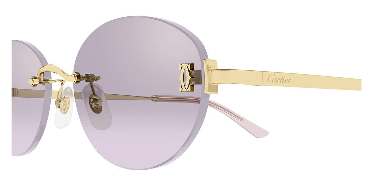 Cartier CT0642SA 003