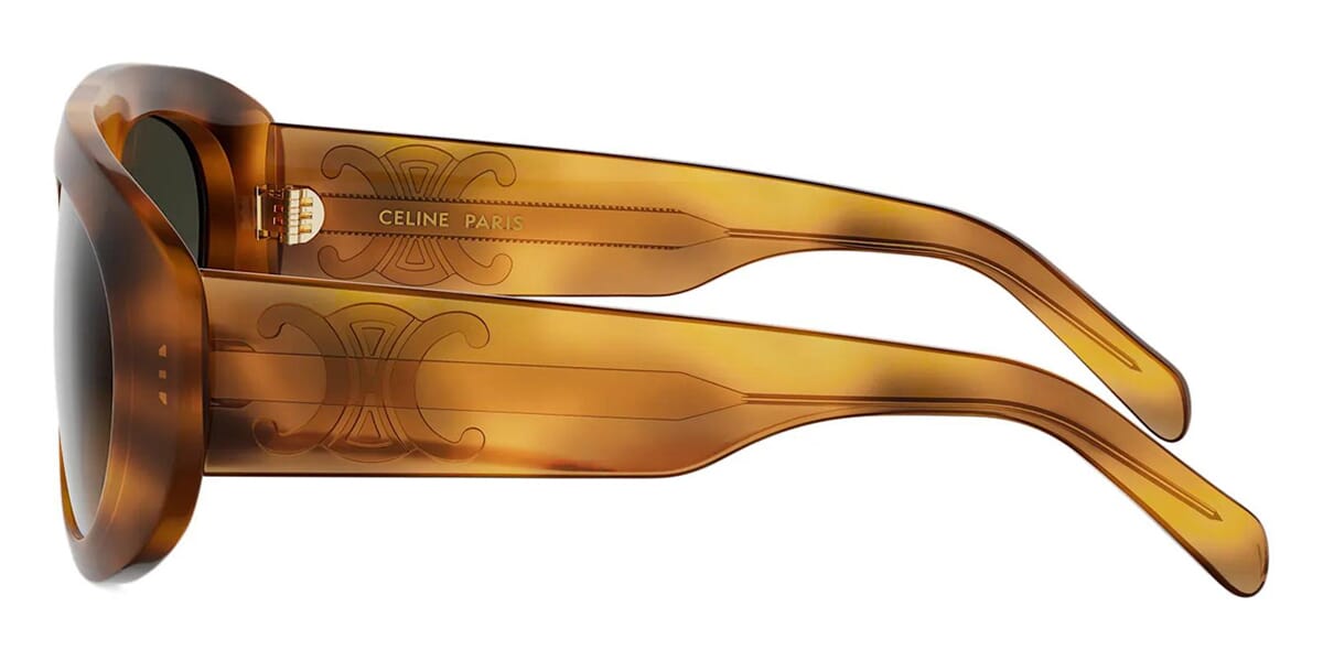 CELINE Triomphe Stamp CL40340U 53F