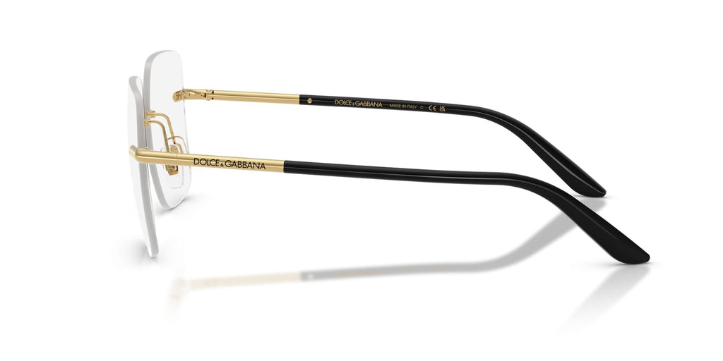Dolce & Gabbana DG1360 02