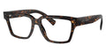 Dolce & Gabbana DG3383 502