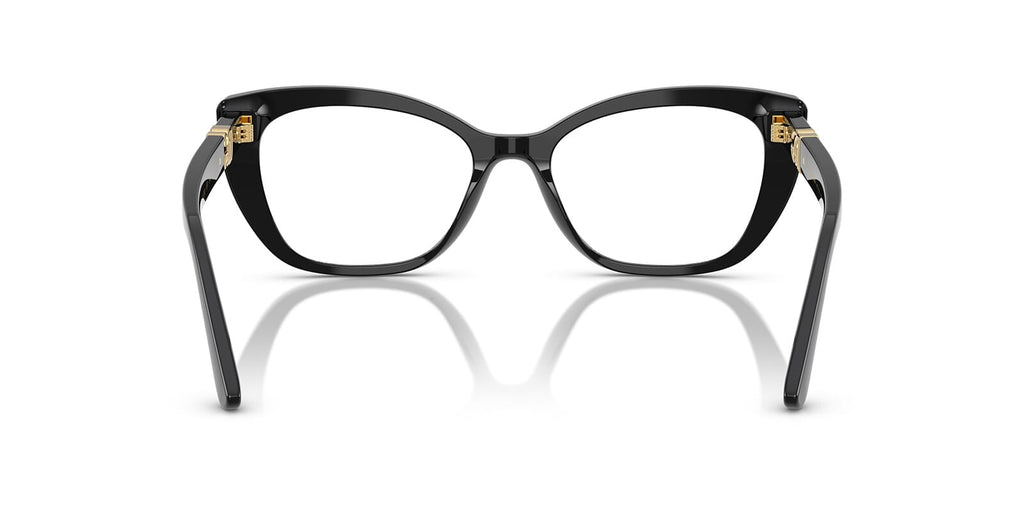 Dolce & Gabbana DG3398 501