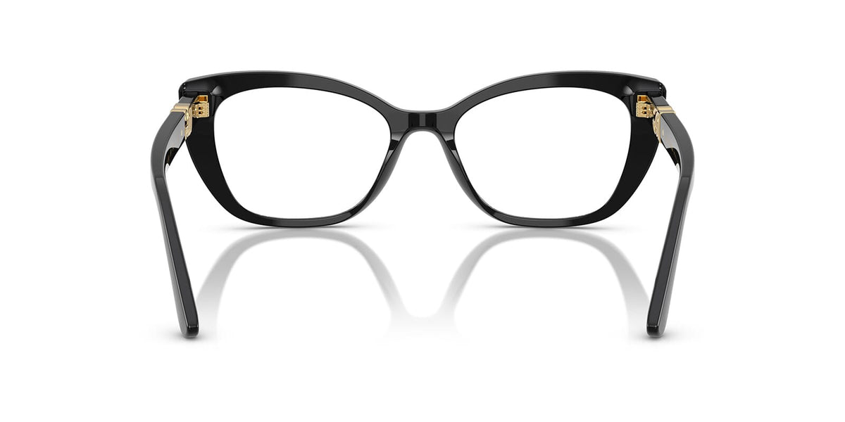 Dolce & Gabbana DG3398 501