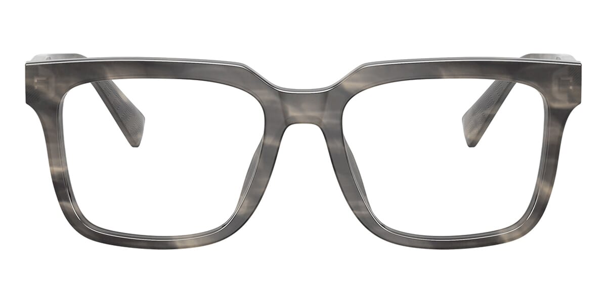 Dolce & Gabbana DG3422 3199