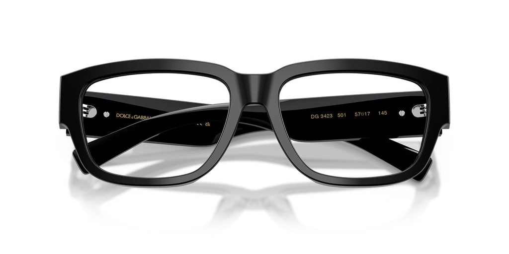 Dolce & Gabbana DG3423 501