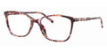 Dolce & Gabbana DG3424 3440