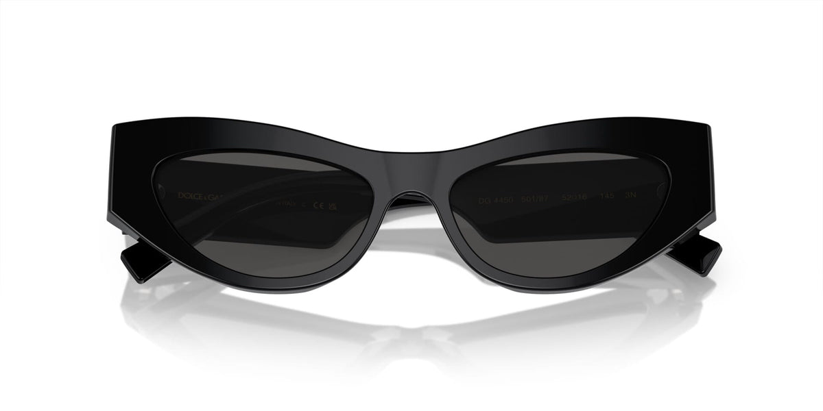 Dolce & Gabbana DG4450 501/87