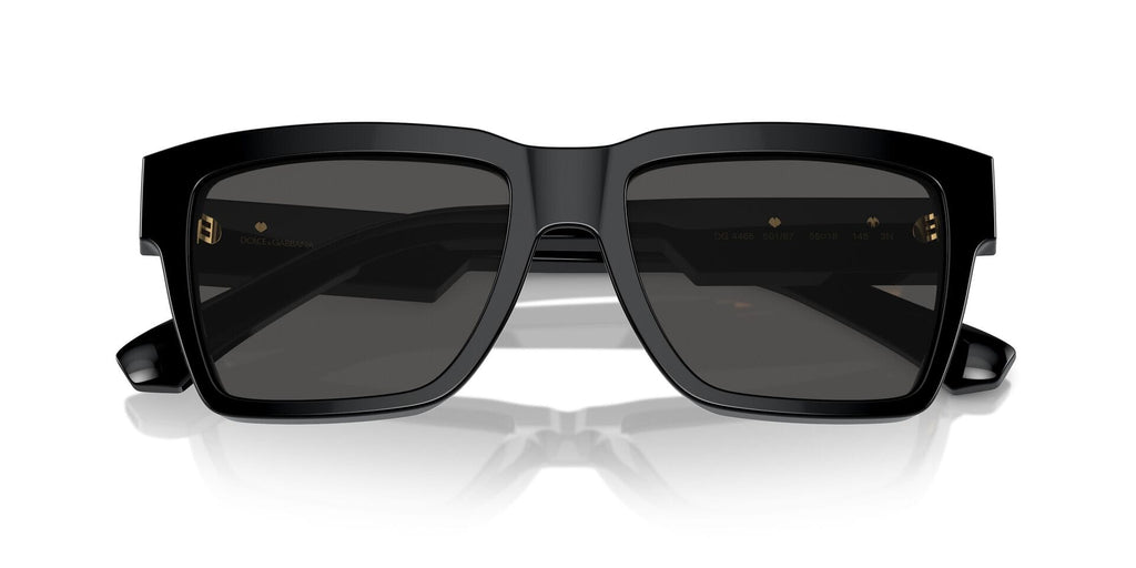 Dolce & Gabbana DG4465 501/87