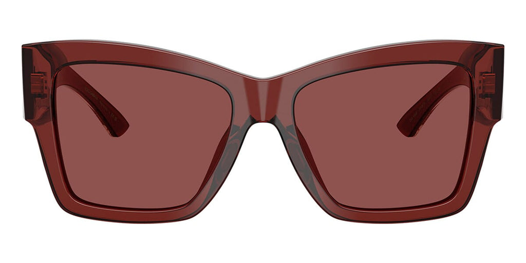 Dolce & Gabbana DG4493 3045/75