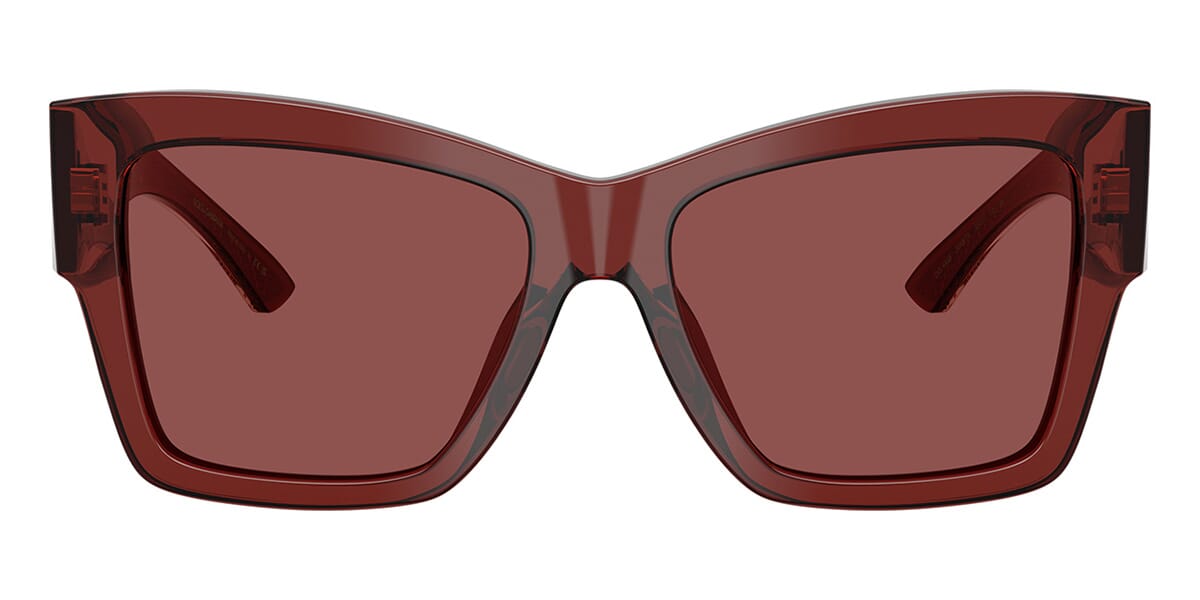 Dolce & Gabbana DG4493 3045/75