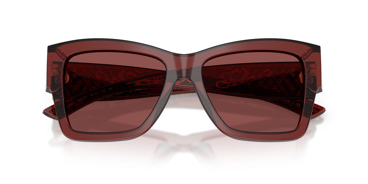 Dolce & Gabbana DG4493 3045/75