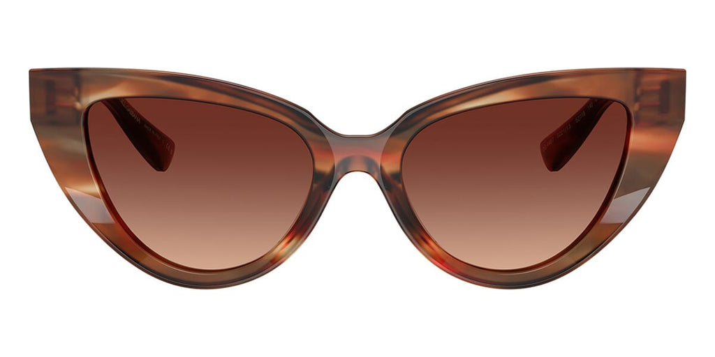Dolce & Gabbana DG4497 3221/13