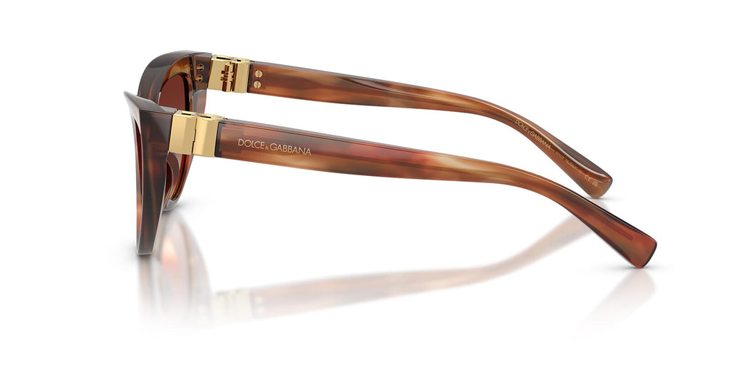 Dolce & Gabbana DG4497 3221/13