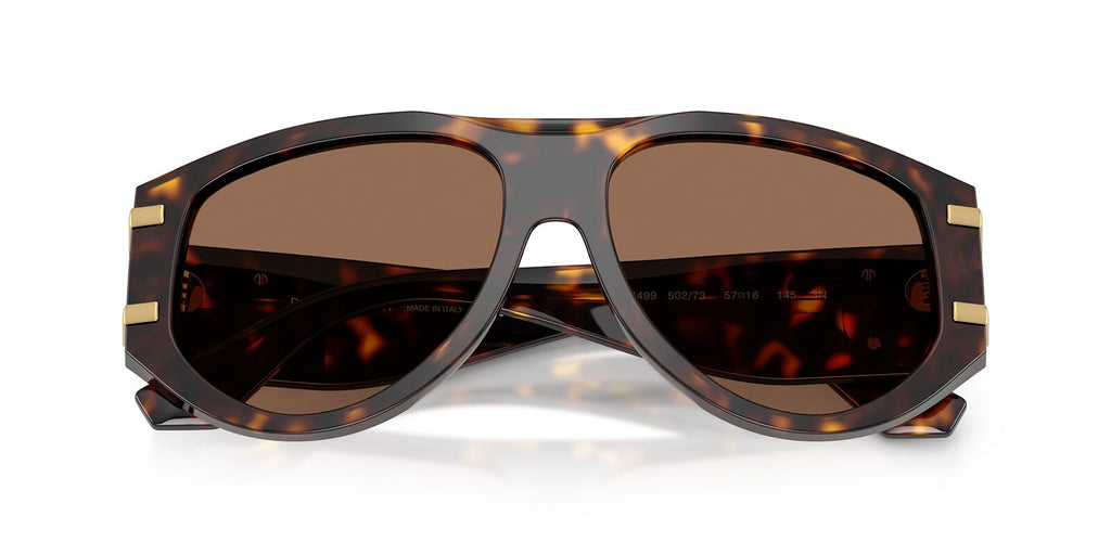 Dolce & Gabbana DG4499 502/73