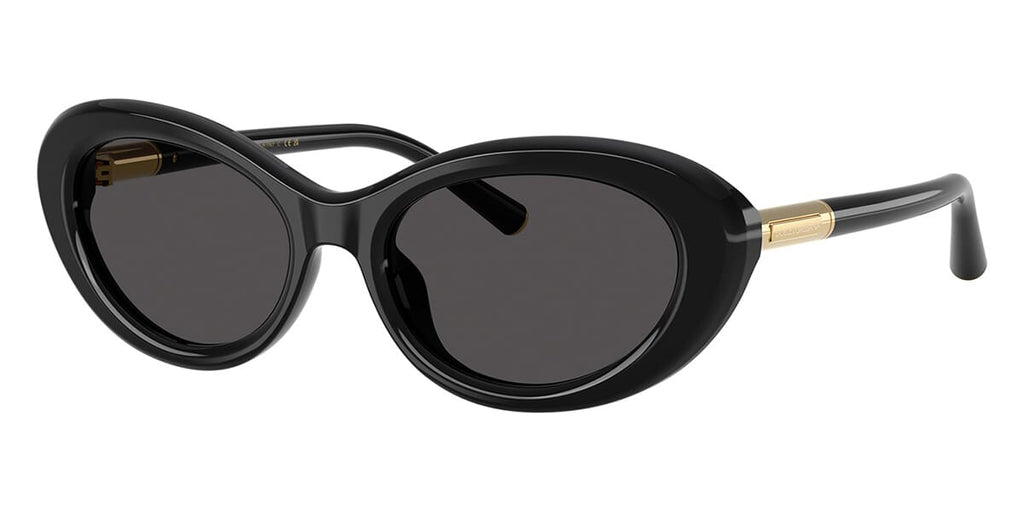 Dolce & Gabbana DG4519 501/87