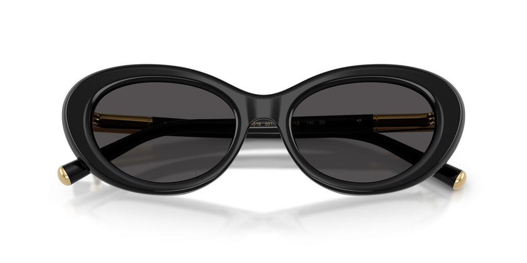 Dolce & Gabbana DG4519 501/87