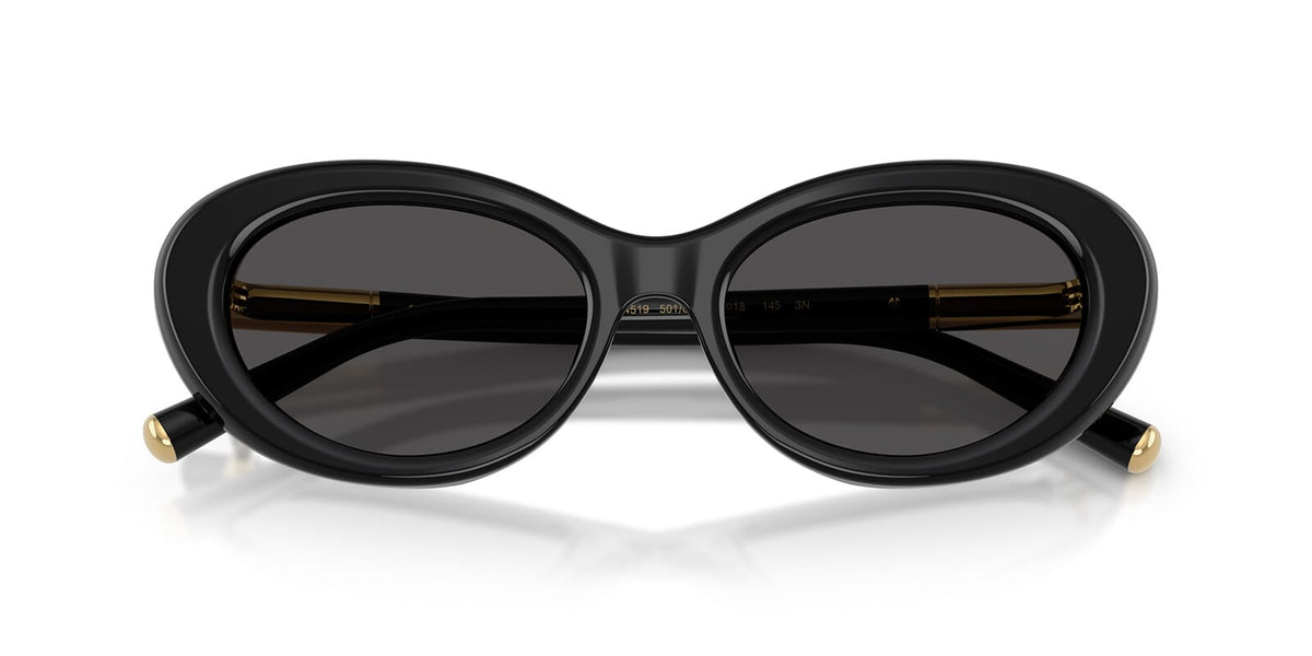 Dolce & Gabbana DG4519 501/87