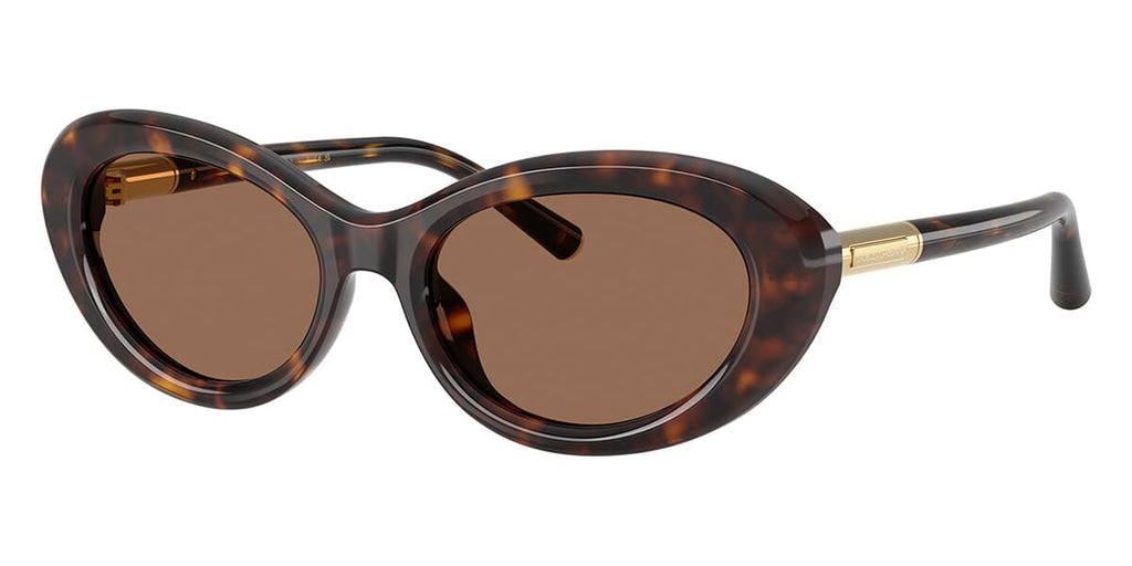 Dolce & Gabbana DG4519 502/73