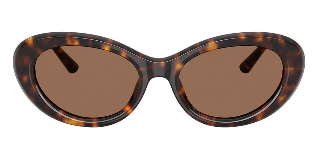 Dolce & Gabbana DG4519 502/73