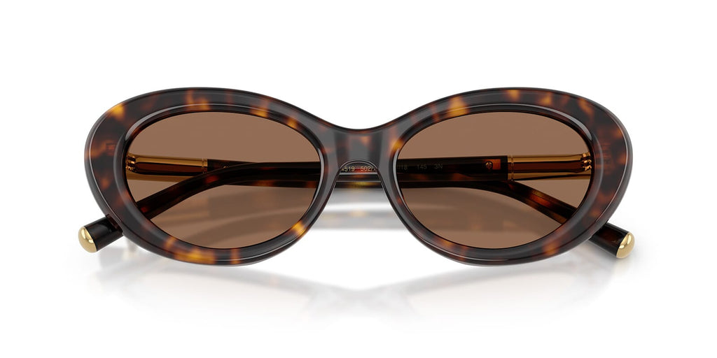 Dolce & Gabbana DG4519 502/73