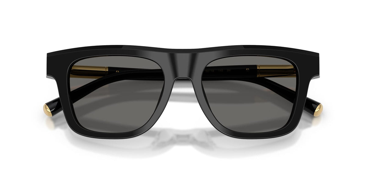 Dolce & Gabbana DG4521 501/1