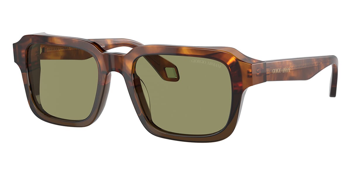 Giorgio Armani AR8194U 5988/14