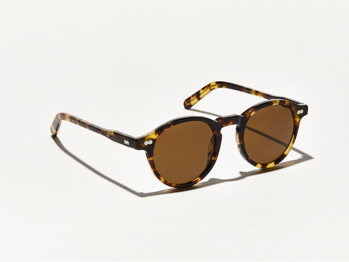 Moscot Miltzen Sun Classic Havana
