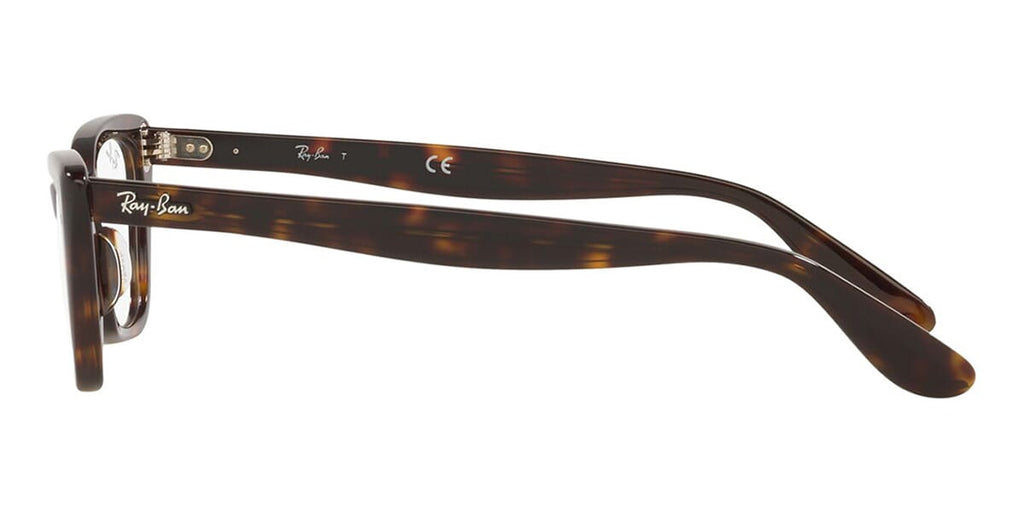 Ray-Ban Lady Burbank RB 5499 2012