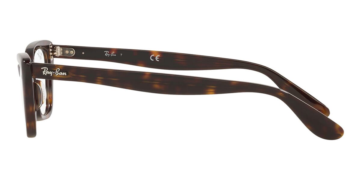 Ray-Ban Lady Burbank RB 5499 2012
