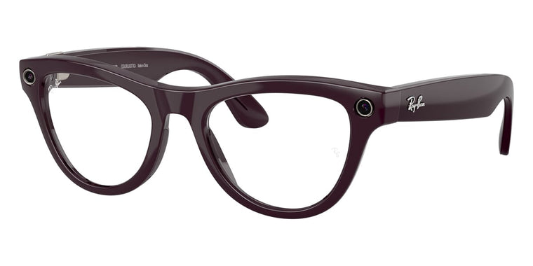 Ray-Ban Meta Skyler Gen 2 RW4014 Cat-Eye Sunglasses