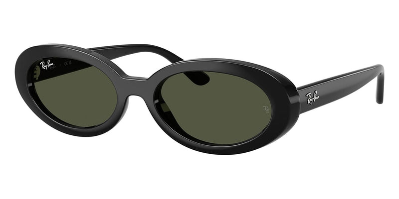 Ray-Ban RB2223 Round Sunglasses — Black
